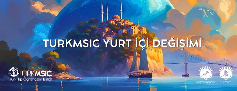 TurkMSIC Logo
